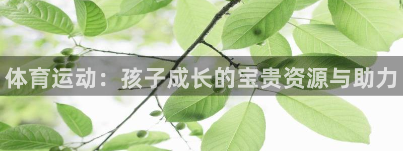 哈希娱乐能源：体育运动：孩子成长的宝贵资源与助力