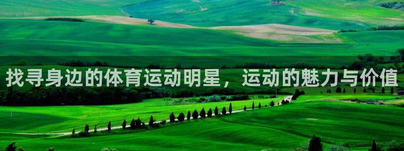 哈希娱乐5招商：找寻身边的体育运动明星，运动的魅力与价值