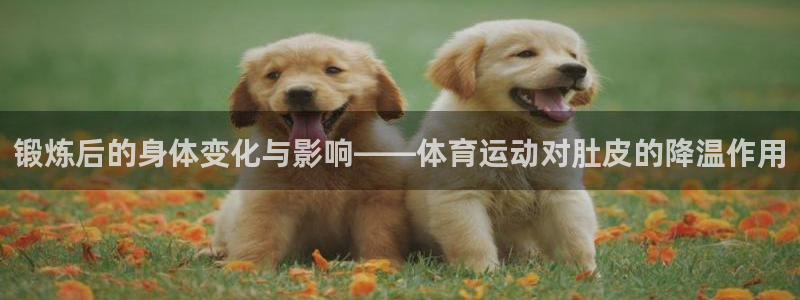 哈希娱乐平台注册入口：锻炼后的身体变化与影响——体育运动对肚皮的降温作用