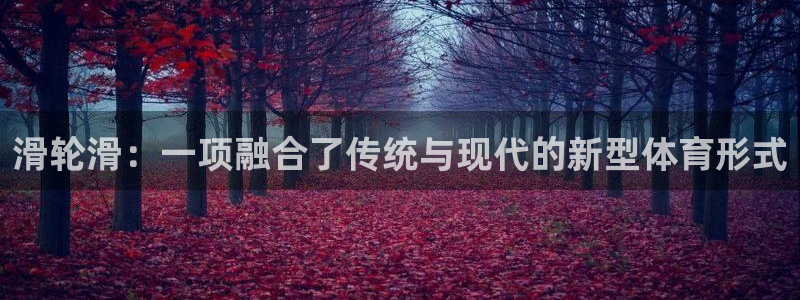 哈希娱乐体育2：滑轮滑：一项融合了传统与现代的新型体育形式