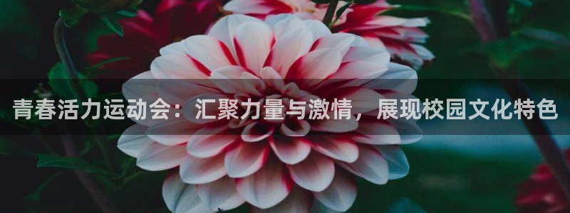 哈希娱乐登录：青春活力运动会：汇聚力量与激情，展现校园文化特色