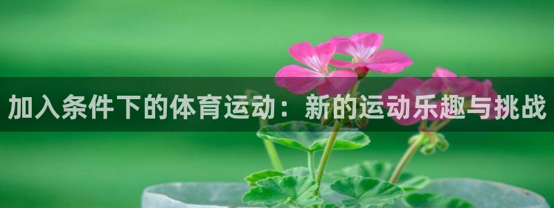哈希娱乐平台招商：加入条件下的体育运动：新的运动乐趣与挑战