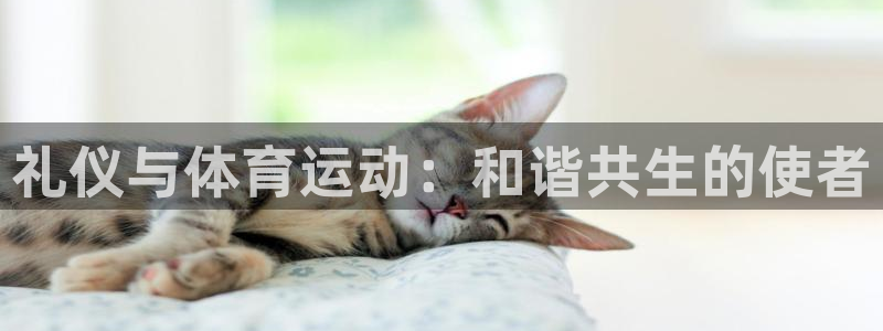 广州市意昂智能科技有限公司：礼仪与体育运动：和谐共生的使者