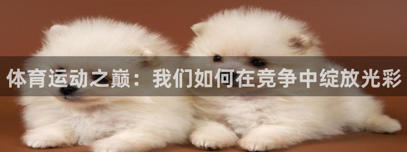 哈希娱乐4开户：体育运动之巅：我们如何在竞争中绽放光彩