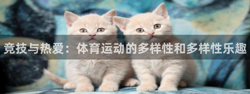 哈希娱乐5招商：竞技与热爱：体育运动的多样性和多样性乐趣