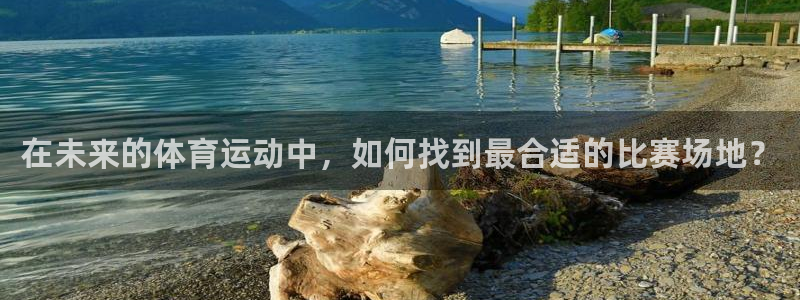 哈希娱乐体育用品：在未来的体育运动中，如何找到最合适的比赛场地？